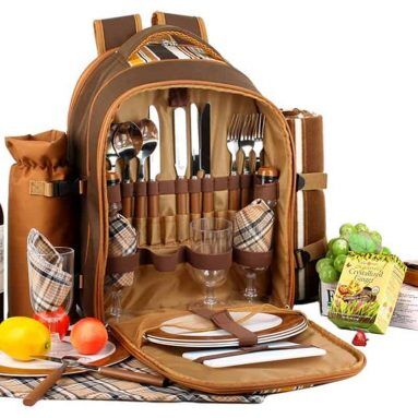 apollo walker Picnic Backpack